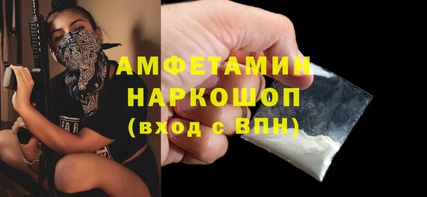 индика Богданович